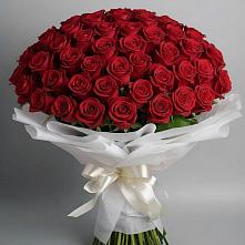 Букет 101 Красная роза Блэк Мэджик в Рябово