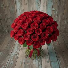 Букет 55 Красных роз Фридом #REPLACE_PRED# Рябово
