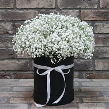 Цветочная композиция из Гипсофила в шляпной коробке #REPLACE_PRED# Рябово