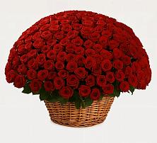 Премиум букет из: Розы в Рябово