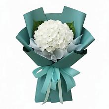 Букет цветов из:  Гортензия #REPLACE_PRED# Рябово